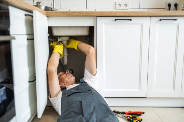 Best Plumbing Services Near Me  in Holiday Island, AR